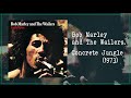 Bob Marley and The Wailers ~ Concrete Jungle  (1973)