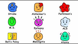 Every Neurological ￼Disease Explained in 17 Minutes