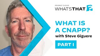 What Is a Cloud-Native Application Protection Platform (Cnapp)? All-in-One Cloud Security Solutions