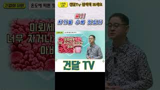 [건달TV] 온도에 따라 달라지는 맛의 차이#귤#혀의온도#미뢰#건달TV#건강정보