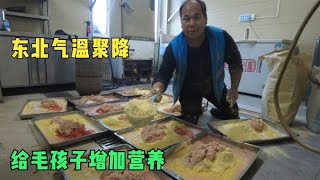 东北大雪气温骤降，给毛孩子做鸡肉玉米面饼抗寒，吃的都嘎嘎香  Dog rescue in China 20211219