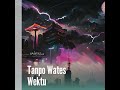 tanpo wates wektu remix