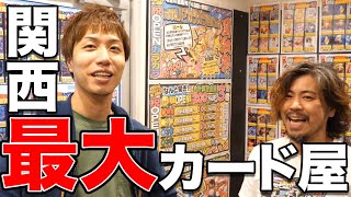 予算1億円!! 大阪に新しい超大型カードショップが開店 New Jumbo TCG store tour in Osaka