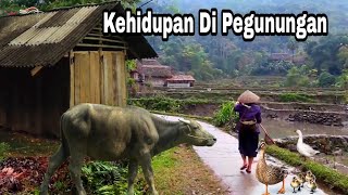 Kehidupan Di Pegunungan