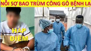 Tin tức* NỖI SỢ BAO TRÙM CÔNG GÔ VÌ BỆNH \