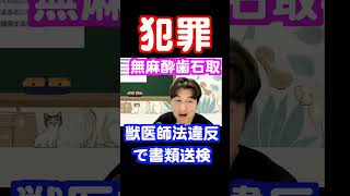 「摘発！獣医師免許を持たない無麻酔歯石とり」猫伝染性腹膜炎FIP治療 #shorts #fip治療 #ネコ #獣医療 #無麻酔 無麻酔歯石  #令和の虎 #mutian   #猫伝染性腹膜炎