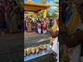 kulim ratha yatra with hh bvv narasimha maharaja 25 12 2023 hg satyananda das