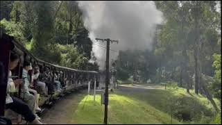 墨爾本普芬比利蒸汽火車及亞拉河谷（Yarra Valley）酒莊之旅