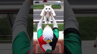 Kucing Palestina Dibuang, anak kucing mimpi jatoh #palestina #kucing #kucinglucu