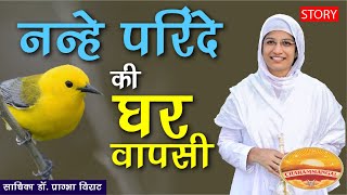 नन्हे परिंदे की घर वापसी | कहानियों की पोटली | साधिका डॉ प्राग्भा विराट हिन्दी प्रेरणात्मक कहानियाँ