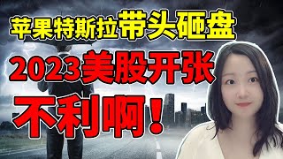 特斯拉杀疯了都！NaNa说美股(2023.01.03)