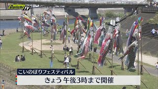 【120匹が悠々と】こいのぼりフェスティバル開催　沼津市