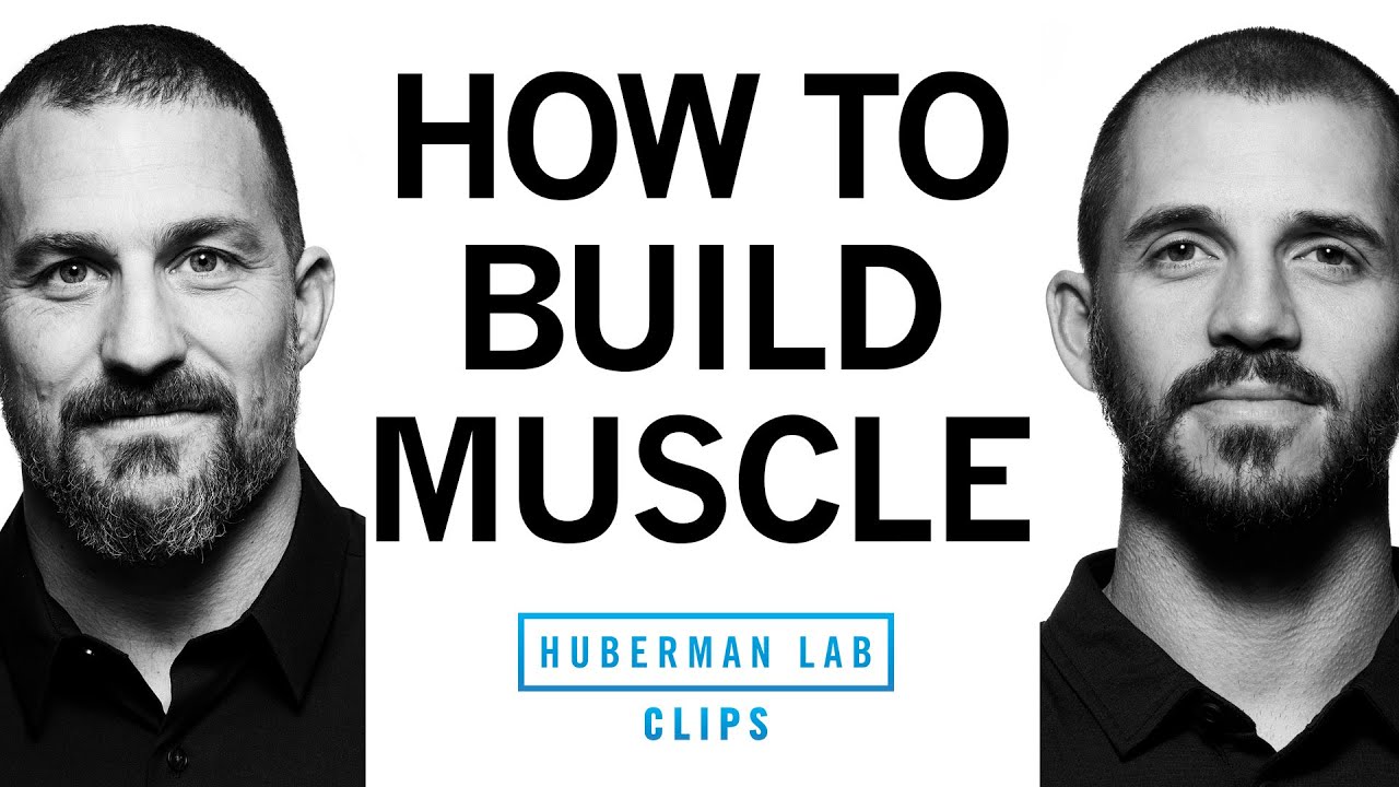 How To Build Muscle | Dr. Andy Galpin & Dr. Andrew Huberman - YouTube