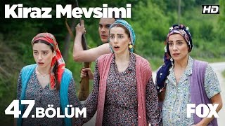 Kiraz Mevsimi 47.Bölüm