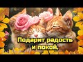 🌞☕Самого доброго осеннего утра 🍁Благословенного дня 🌞Красивая музыкальная открытка 4