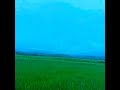 कोकणातील भातशेती konkan farming rice nature beauty green