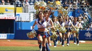 20180317 超絶カワイイッ♥M☆Splash!!『千葉、心つなげよう』Japanese cute girls baseball cheerleaders