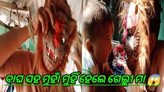 ବାଘ ସହ ମୁହାଁ ମୁହିଁ ହେଲେ ଗେଲ୍ଲୀ ମା 😱/odia vloge /Rama sneha vloge1