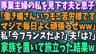 【スカッと】専業主婦の私を働きアリとバカにする息子と夫「働き蟻さんいつもご苦労様ですｗ」→家族を置き荷物をまとめて海外へ旅立った結果…【修羅場】