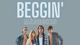 Måneskin - Beggin' (Lyric Video)