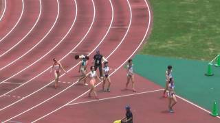 H29　南関東　女子100mH　準決勝2組