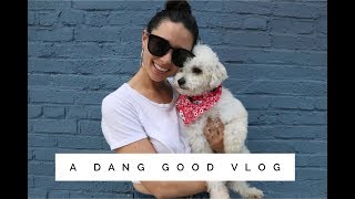 A Dang Good Vlog | We Have VERY Important News! | Aja Dang