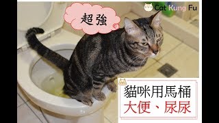 【貓功夫】30天貓咪學會使用馬桶上廁所