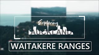 Exploring West Auckland | New Zealand