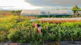 LOTS TO DO on the Flower Farm in August!