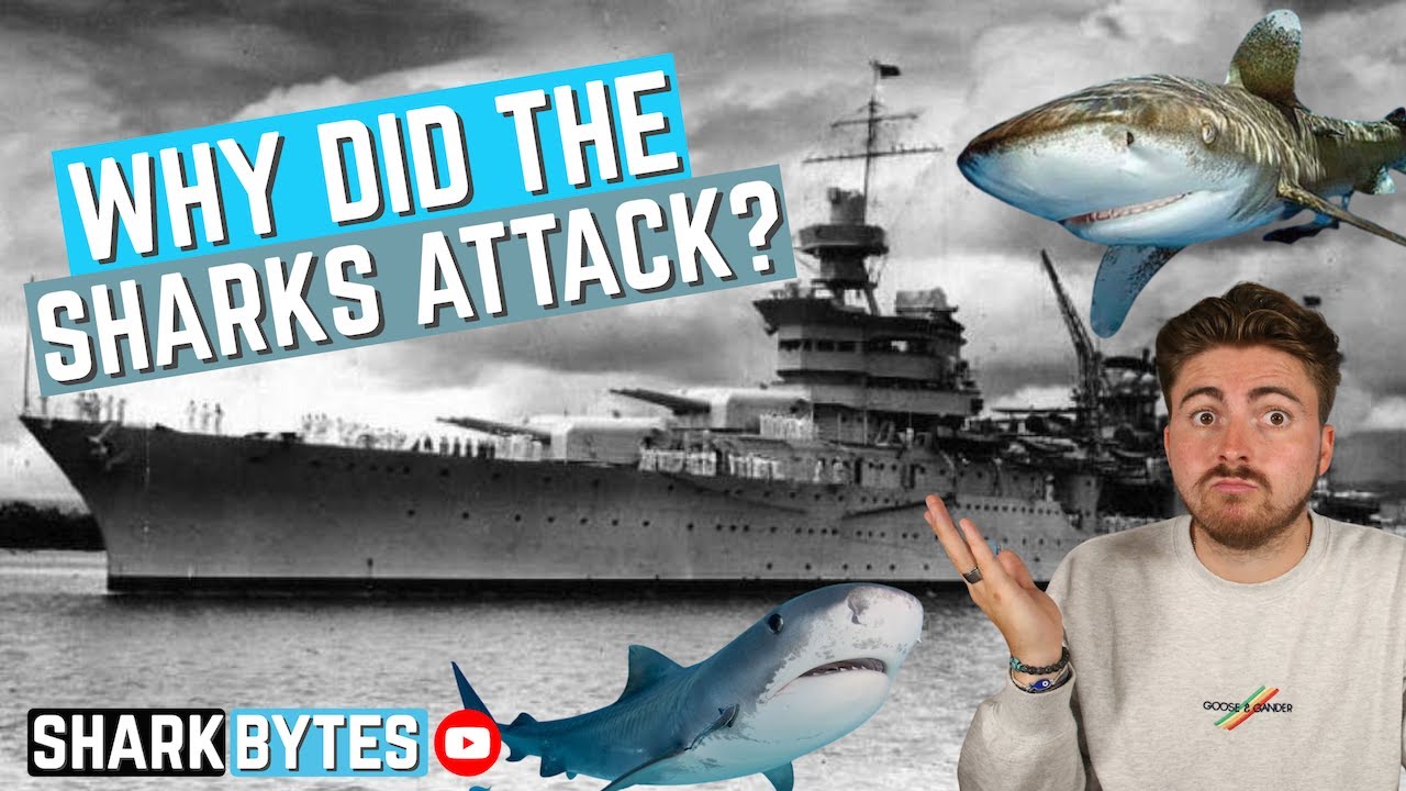 The TRUTH About The USS Indianapolis Shark Attack! - YouTube