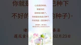 ✨心念恶的时候，就是你的因地有问题了 | 法音开示摘选 #大乘普光 #心灵法门 #三佛引領  #正能量