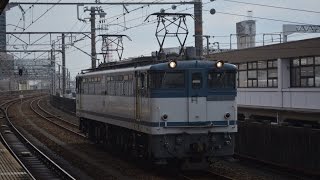 EF65 2093号機(3071レ) 浜松駅通過