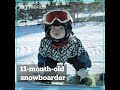 Snowboarding baby shows her skills in northern China