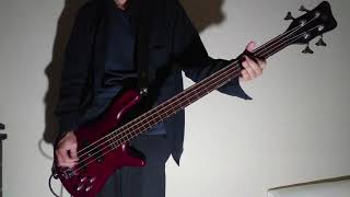 Alice In Chains - Rain When I Die [Bass Cover]