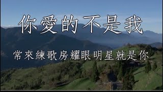 你愛的不是我 施文彬 男調卡啦OK伴唱