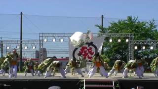 「菜花『ゴーゴー！ おおぐち！！』」 犬山踊芸祭2017　２日目