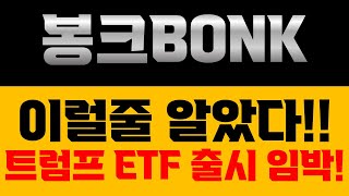 [봉크BONK 코인전망] 믿고 있었다구! 트럼프! ETF 출시 임박!