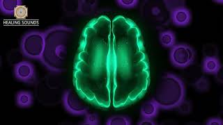 Awaken The Amygdala | Empower Your Brain | Defeat PTSD, OCD, Anxiety, And Stress | Isochronic Tones