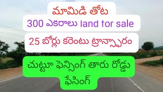 300 ఎకరాలు మామిడి తోట తారు రోడ్డు ఫేసింగ్ అగ్రికల్చర్ ల్యాండ్ ఫర్ సేల్ please subscribe 🙏 8897702061