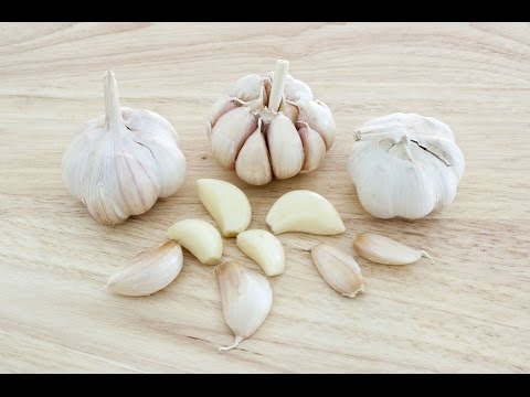 THE ULTIMATE GARLIC PEELING TRICK ! THE ULTIMATE GARLIC PEELING TRICK !