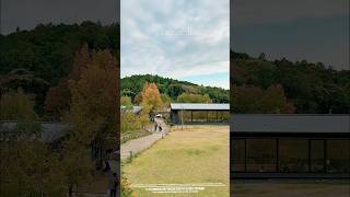 真弓のグループ展🎨 紅葉🍁の季節到来！町田薬師池公園🌳四季彩の杜で「秋遊び 2024～来て、見て、体験して 誰かに教えたくなる Days～」