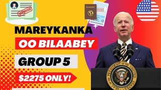 MA OGTAHAY IN MAREYKANKU BILAABEY GROUP 5? KA FAÍDEYSO HADA