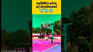 අන්තිමට වෙන දේ බලන්නකෝ 😱 | amazing video