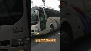 フラワーライナー千葉駅発車