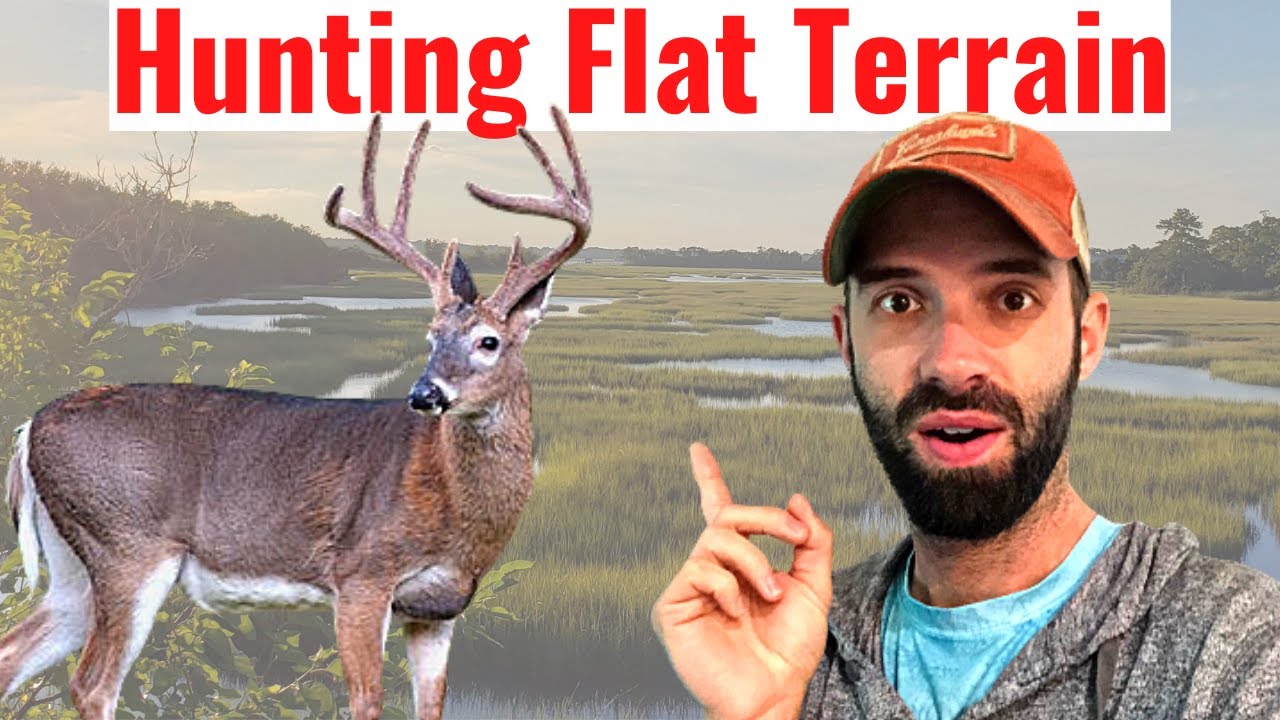 How I Locate Deer on Flat Land for Deer Hunting Public Properties