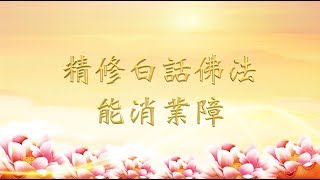 白話佛法能消業障！