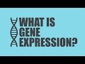 What is Gene Expression? | Unicity Science