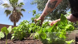 Gardening ASMR