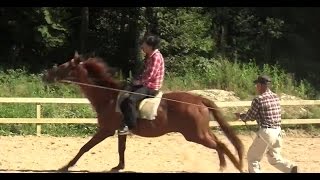 アオイ乗馬クラブ　赤い彗星　ステップ2　乗馬初心者