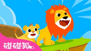 獅子王 🦁 叢林之王 | 動物兒歌 臺灣配音 注音字幕 童謠 | 鯊魚寶寶 Baby Shark l Kids Song Nursery Rhymes | 碰碰狐 Pinkfong